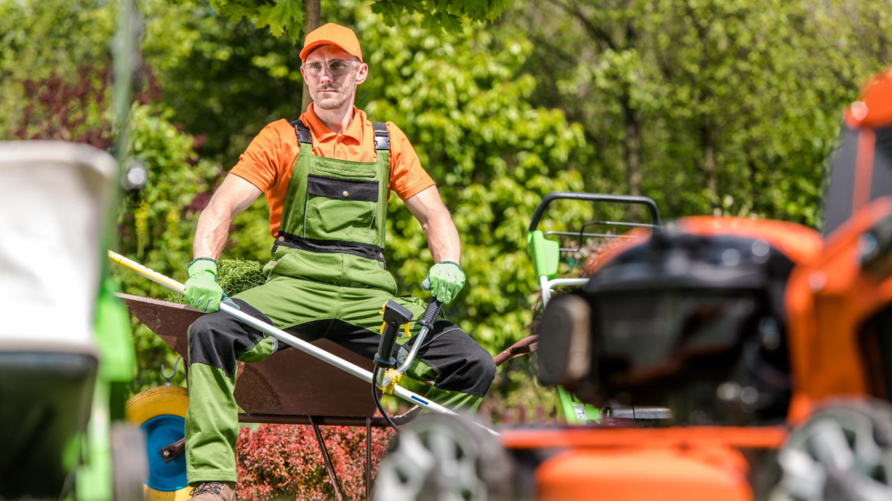 Gartenarbeit von der Steuer absetzen so geht's