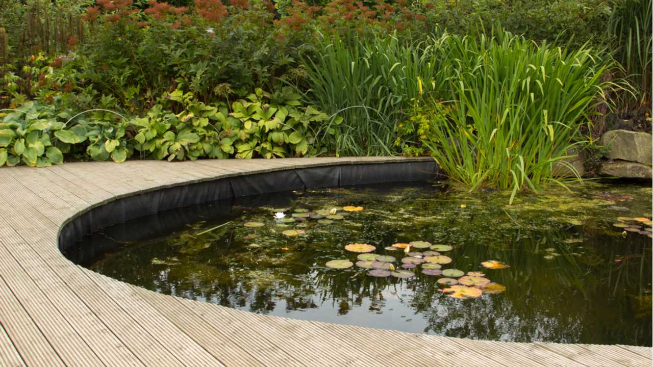 Mit diesen Tipps legen Sie einen Gartenteich fachkundig an