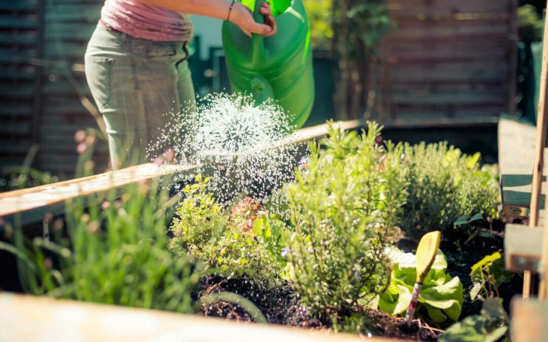 Welche Pflanzen vertragen sich? – Mischkultur im Garten