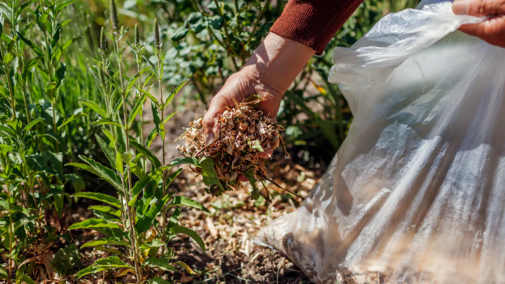 Zum Mulchen von Blumen- und Gemüsebeeten sind Holzspäne gut geeignet