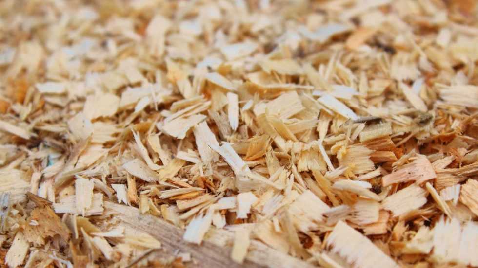 Holzspäne als Dünger Vorteile & ein wertvoller Expertentipp