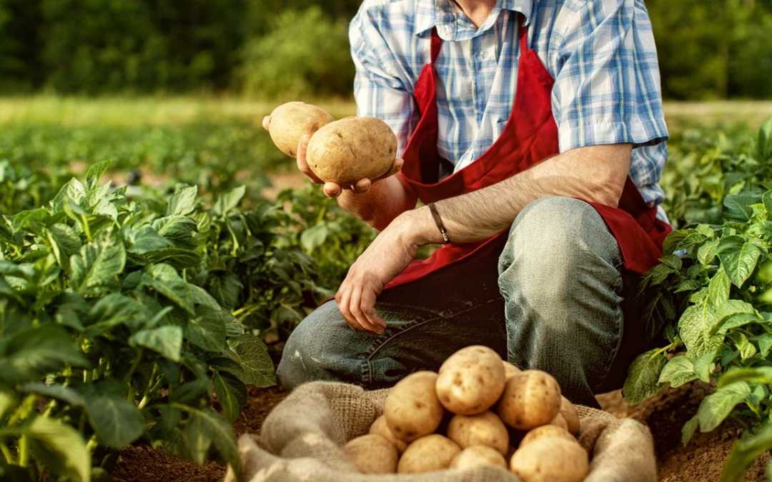 Der Garten im September: Was jetzt zu tun ist