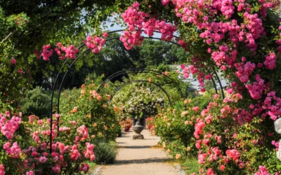 15 immergrüne Rankpflanzen für den Garten 