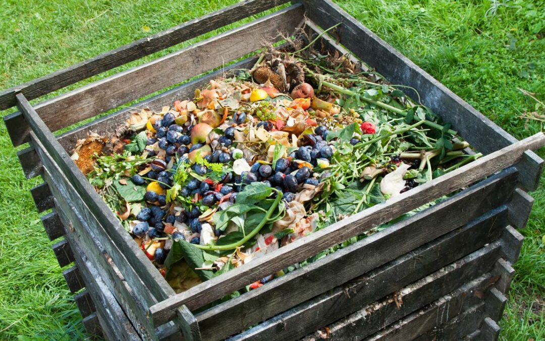 Der Garten im April: Was jetzt zu tun ist!
