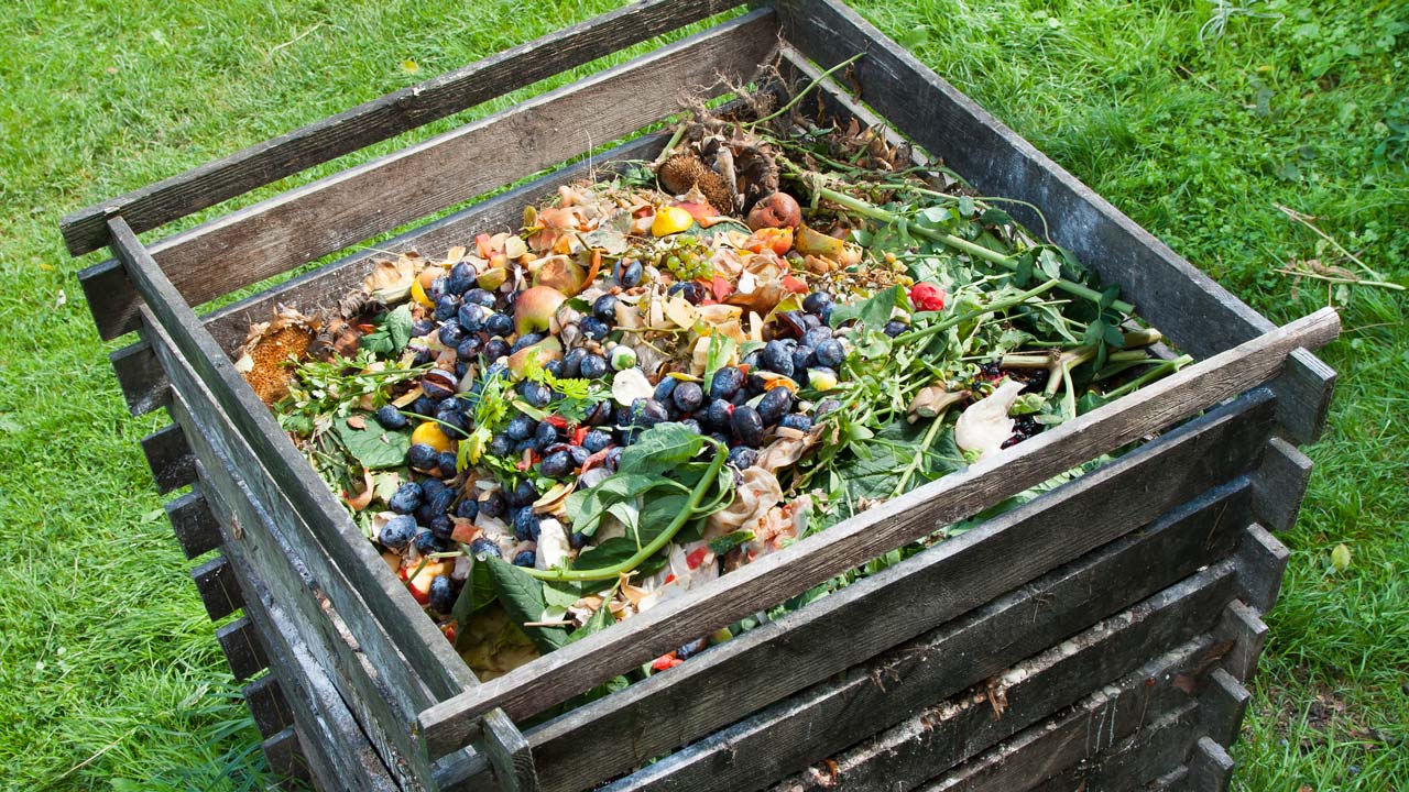 Ratten im Garten erkennen und effektiv bekämpfen Haus & Garten Profi