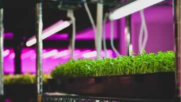 10 Tipps für eine ansprechende Gartenbeleuchtung