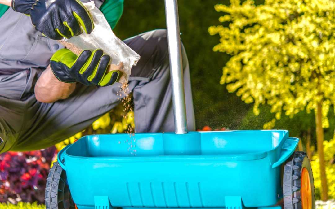 Wie funktioniert die Rasenpflege nach dem Winter?