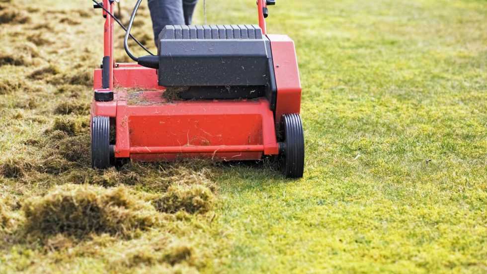 Rasen düngen im Frühjahr Darum ist Düngen wichtig