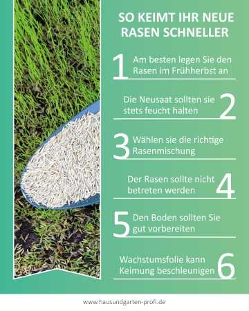 Wie lange braucht Rasen zum Keimen - Nach der Aussaat bis zu Keimung