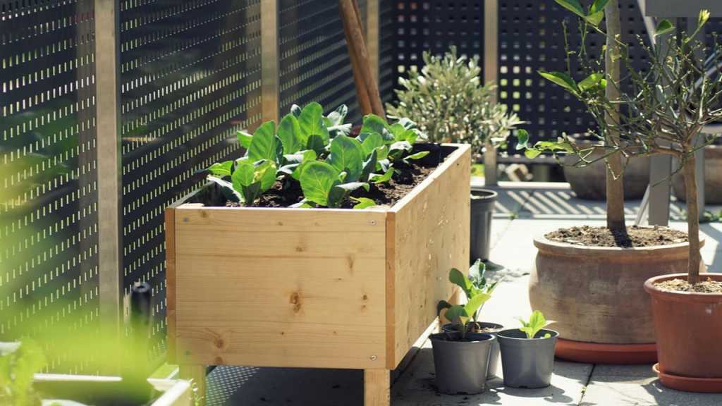 Hochbeet in der Sonne auf dem Balkon