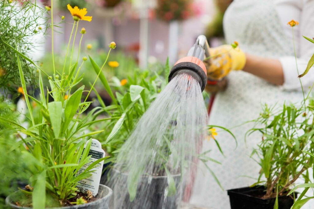 Bei Sommerhitze den Garten gießen mit Topfpflanzen