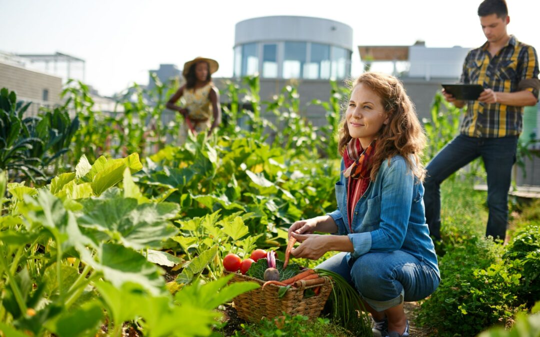 Urban Gardening: Natur und Stadt nachhaltig vereint