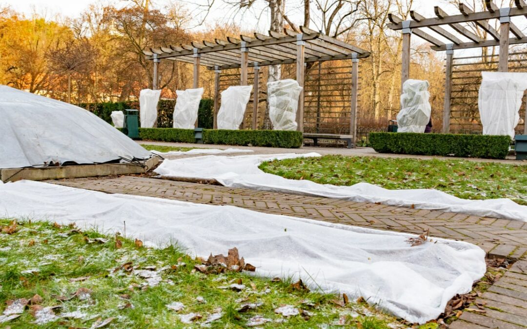 Alles rund um Winterschutz: Wir beantworten die Top-Fragen