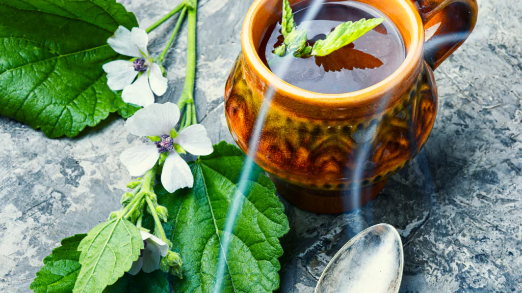 Dampfender Kräutertee neben grünen Blättern und weißen Blüten