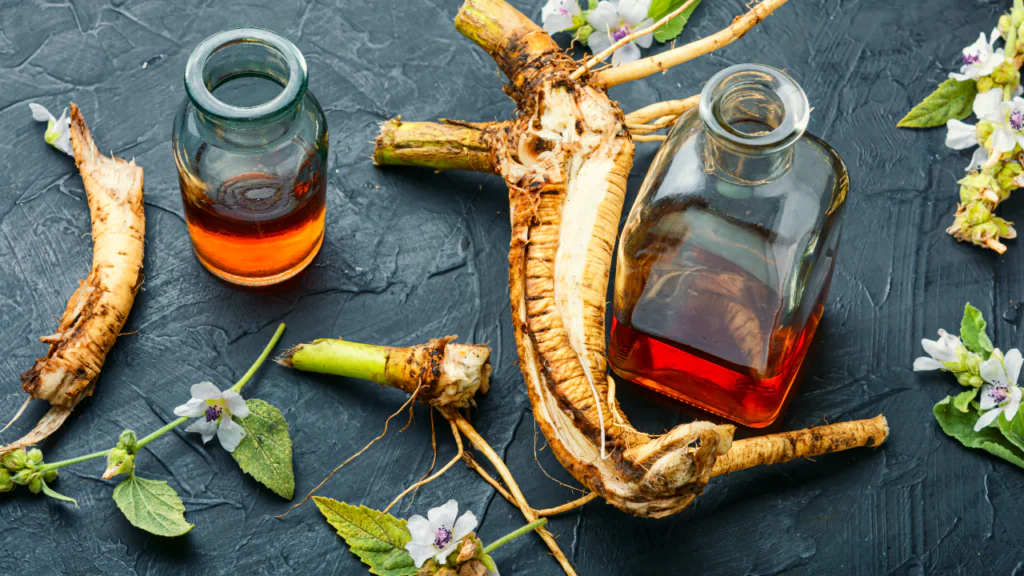 Eibischwurzeln, Blüten und zwei Flaschen mit Flüssigkeit