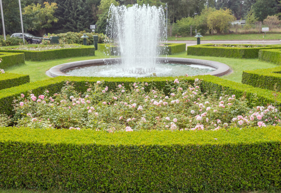 Geschnittene Buchsbaumhecken rund um einen Springbrunnen