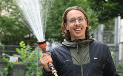 Pflanzen morgens oder abends gießen: Wann ist der perfekte Zeitpunkt?