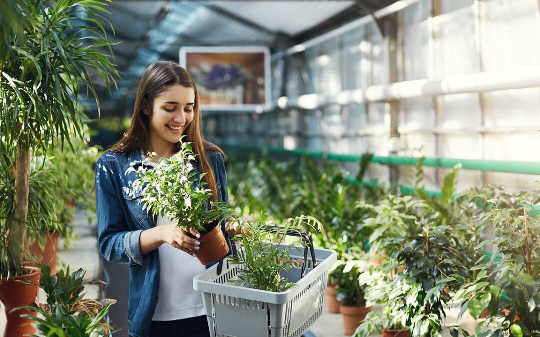 So gelingt die Wohlfühloase: 5 Tipps zur Neugestaltung des Gartens