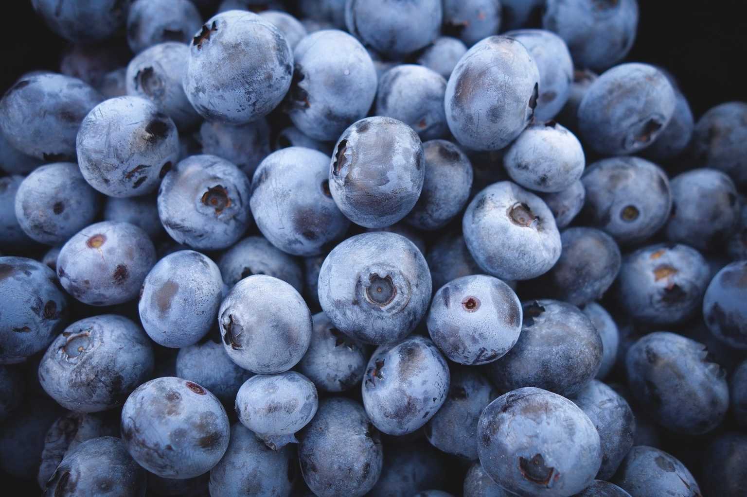 14 leckere Beerensorten, die im Garten nicht fehlen dürfen