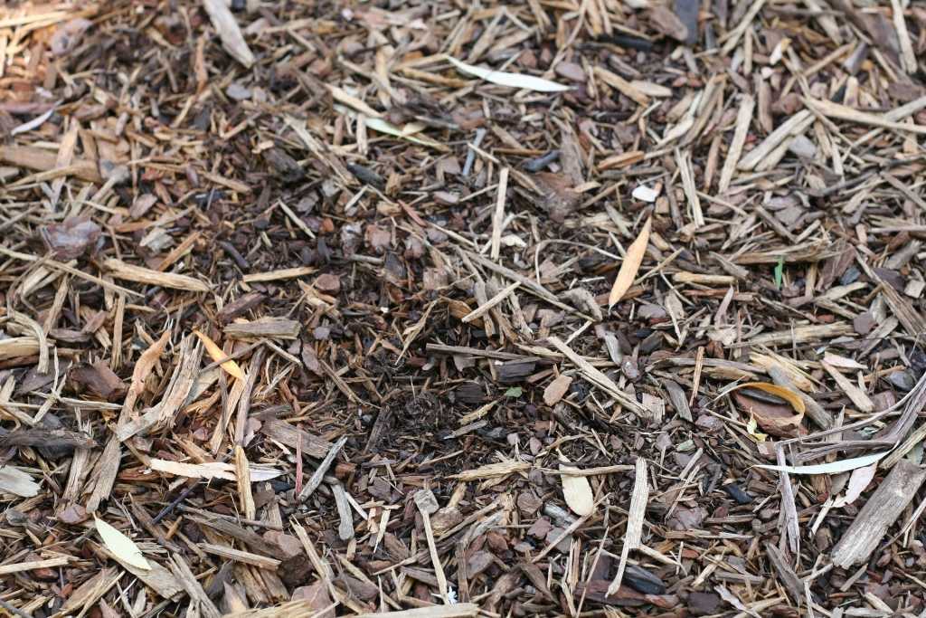 Mulchschicht auf Staudenbeet
