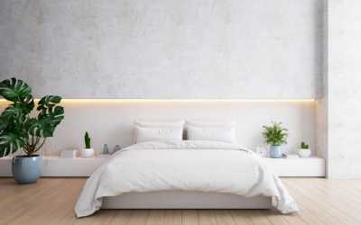 15 Pflanzen fürs Schlafzimmer
