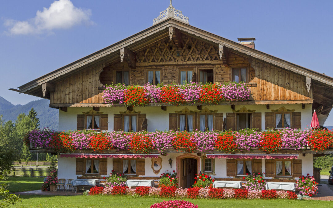 Bayerische Pflanzen des Jahres – Vielfalt & Schönheit