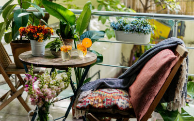 Balkonpflanzen winterhart – Pflegeleicht & robust
