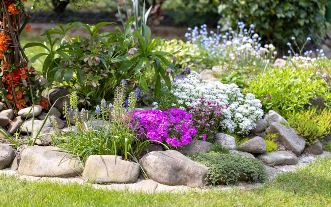 Bodendecker pflanzen – pflegeleicht gegen Unkraut