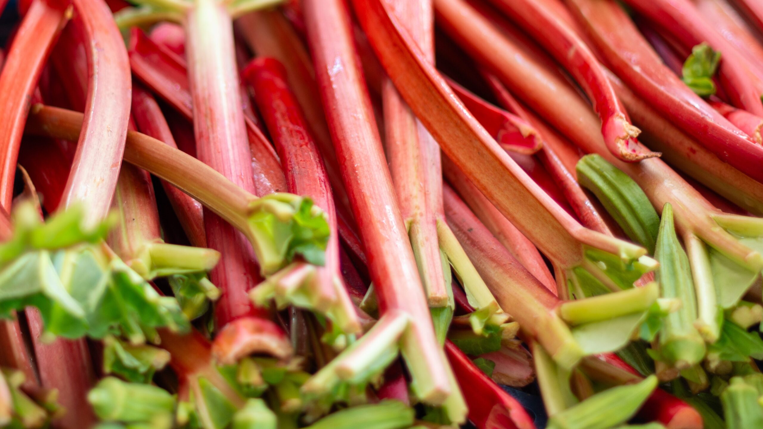 essbare Balkonpflanzen