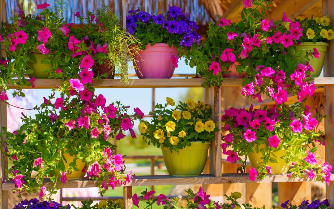 Blumenkästen bepflanzen: Ideen für deinen Balkon