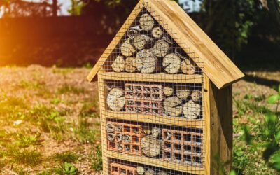 Darauf solltest du beim Bau oder Kauf eines Insektenhotels achten