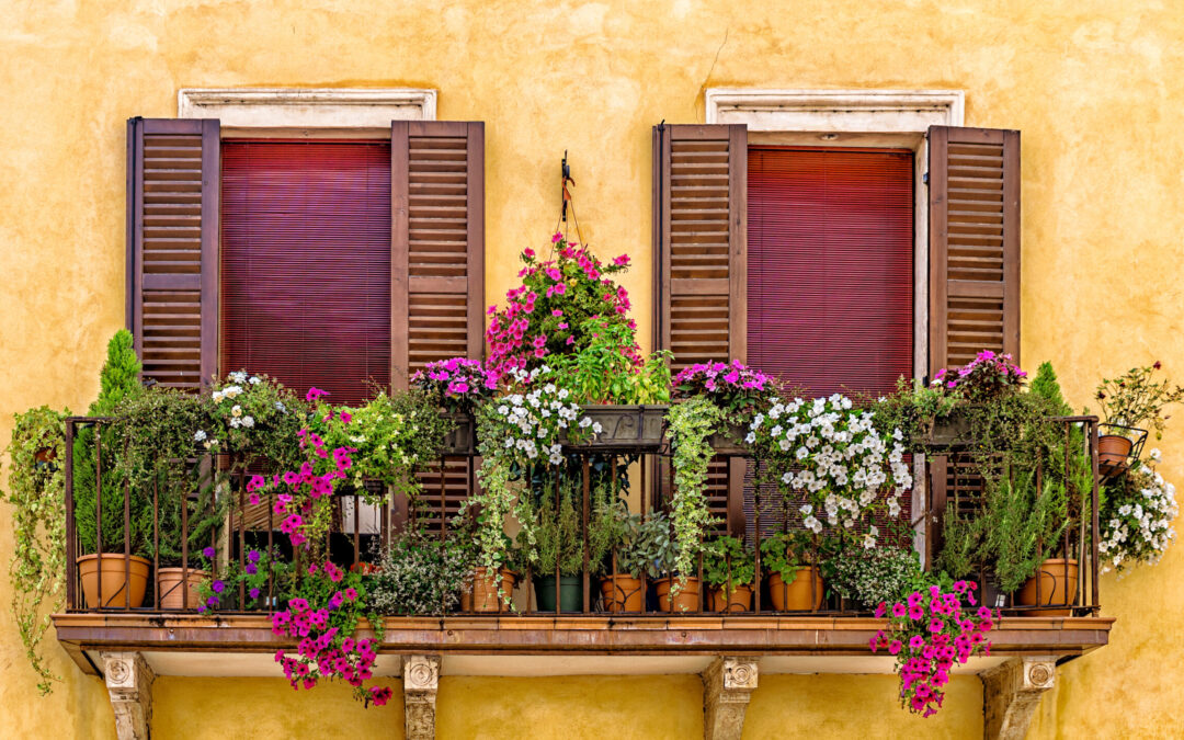 Sommer Balkonpflanzen: 13 blühende Ideen für volle Sonne