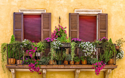 Sommer Balkonpflanzen: 13 blühende Ideen für volle Sonne