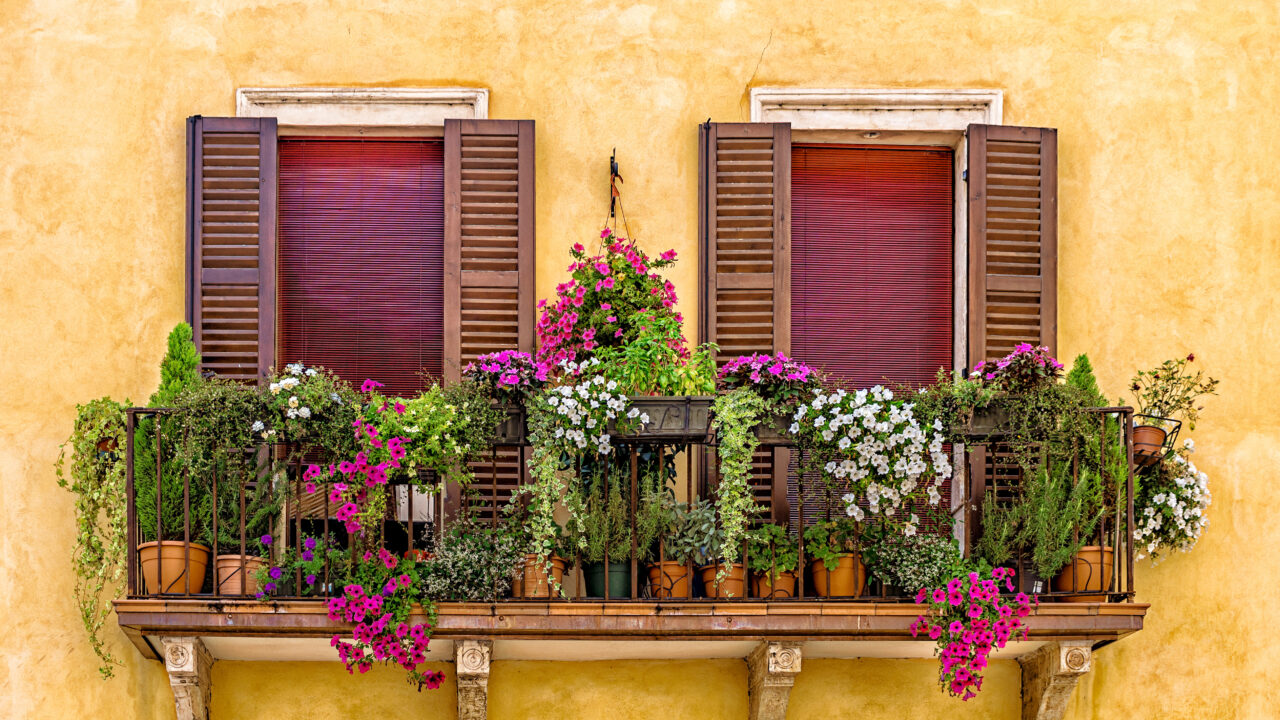 pflegeleichte balkonpflanzen blumenkästen bepflanzen sonnig