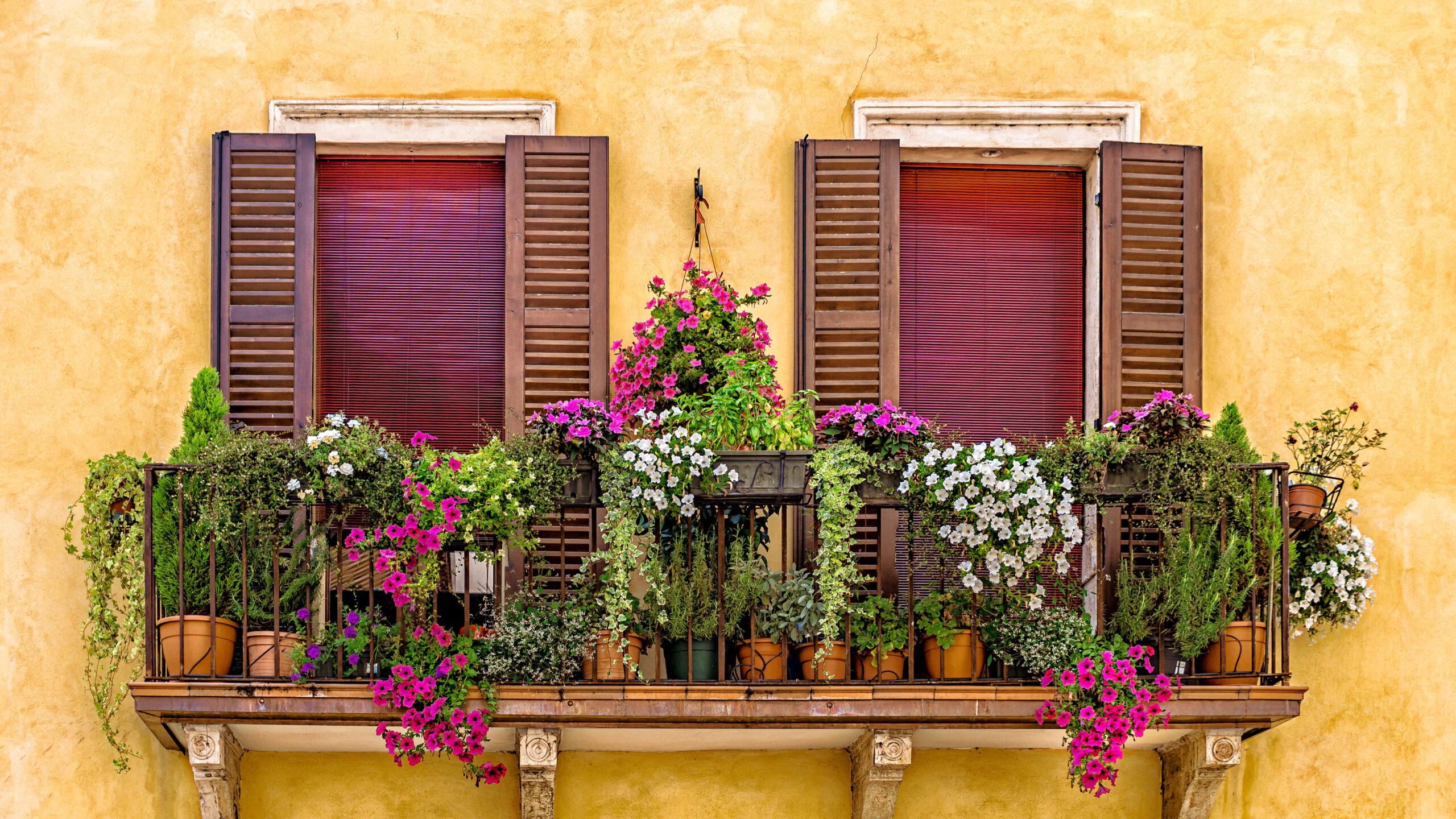 Üppig bepflanzter Balkon mit rosa, violetten und weißen Blüten