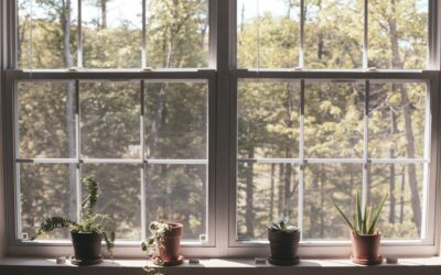 Fenster sanieren: In 6 Schritten Schwachstellen erkennen und richtig handeln